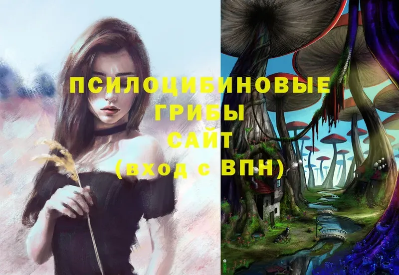 Галлюциногенные грибы Psilocybe  shop состав  Асбест  гидра вход 